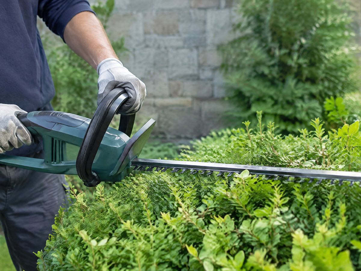 Verzorgde tuin met terras